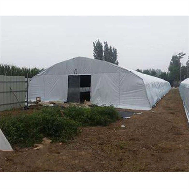 Agriculture Multi Span Mushroom Greenhouse