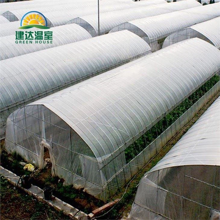 Single Tunnel Greenhouse