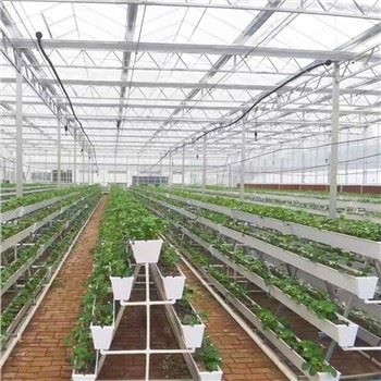 En ramme vertikal oppdrett renne planting trough