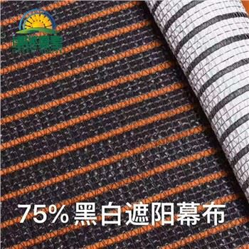 Svart eller hvitt skyggenett