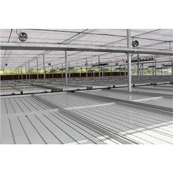 Drivhus Seeding Bed