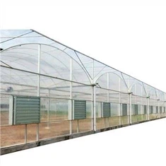 Varmt salg Multi Span Film Drivhus For Tomat Voksende System