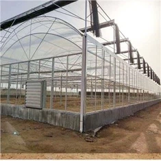 Multi Span Film Greenhouse med NFT-system for grønne greener
