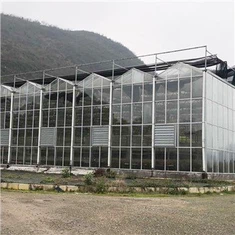 Muti-span Green House