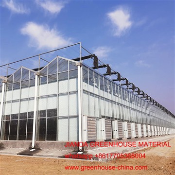 Multi Span Venlo Glass Drivhus