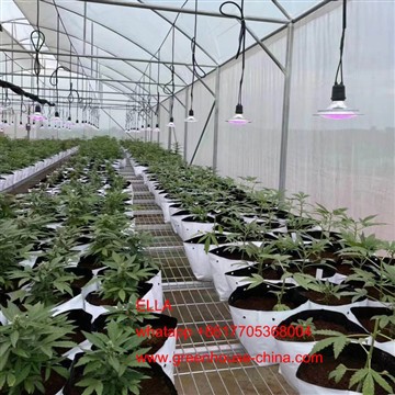 Hemp Drivhus Expand