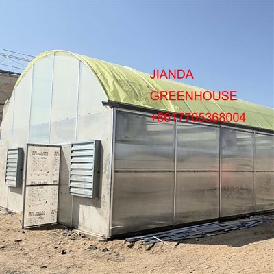 Tunneldrivhus i KSA Market